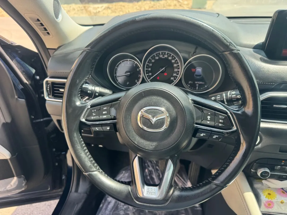 Car image 17