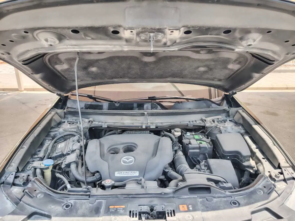 Car image 30