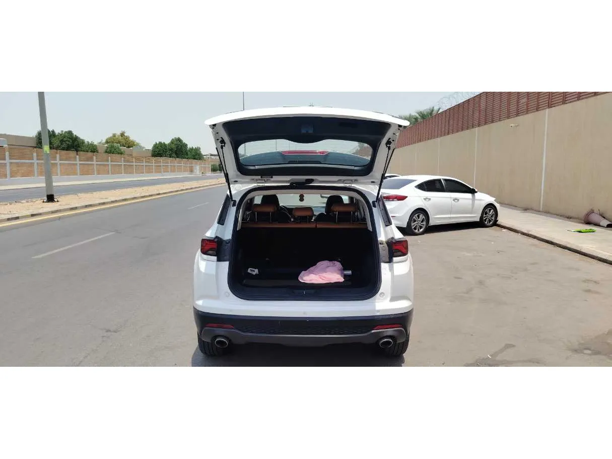 Car image 20