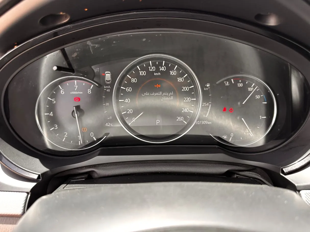 Car image 20