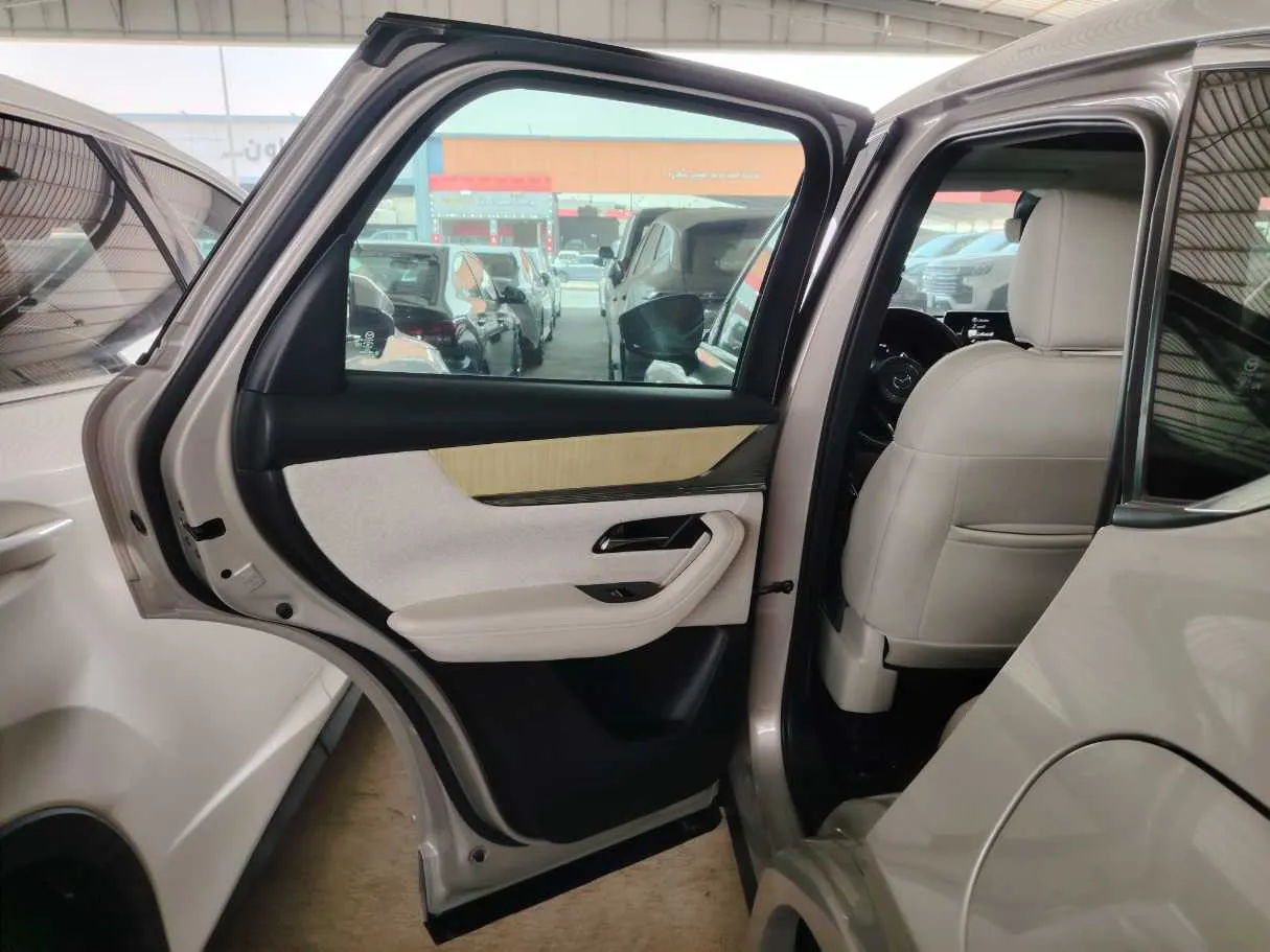 Car image 20