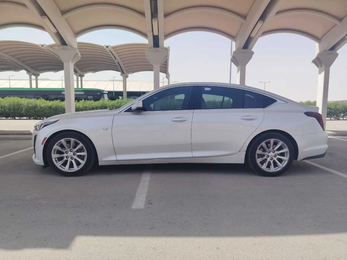 Car image 7