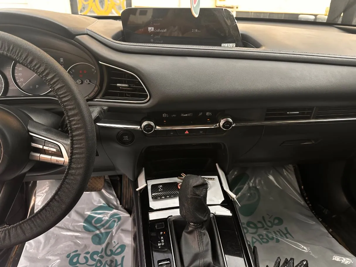 Car image 19
