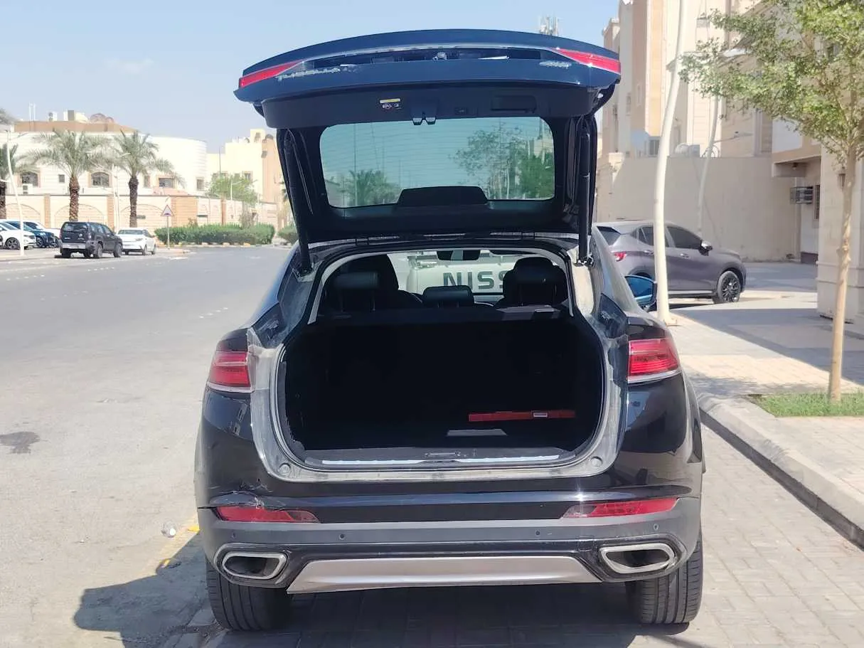 Car image 20