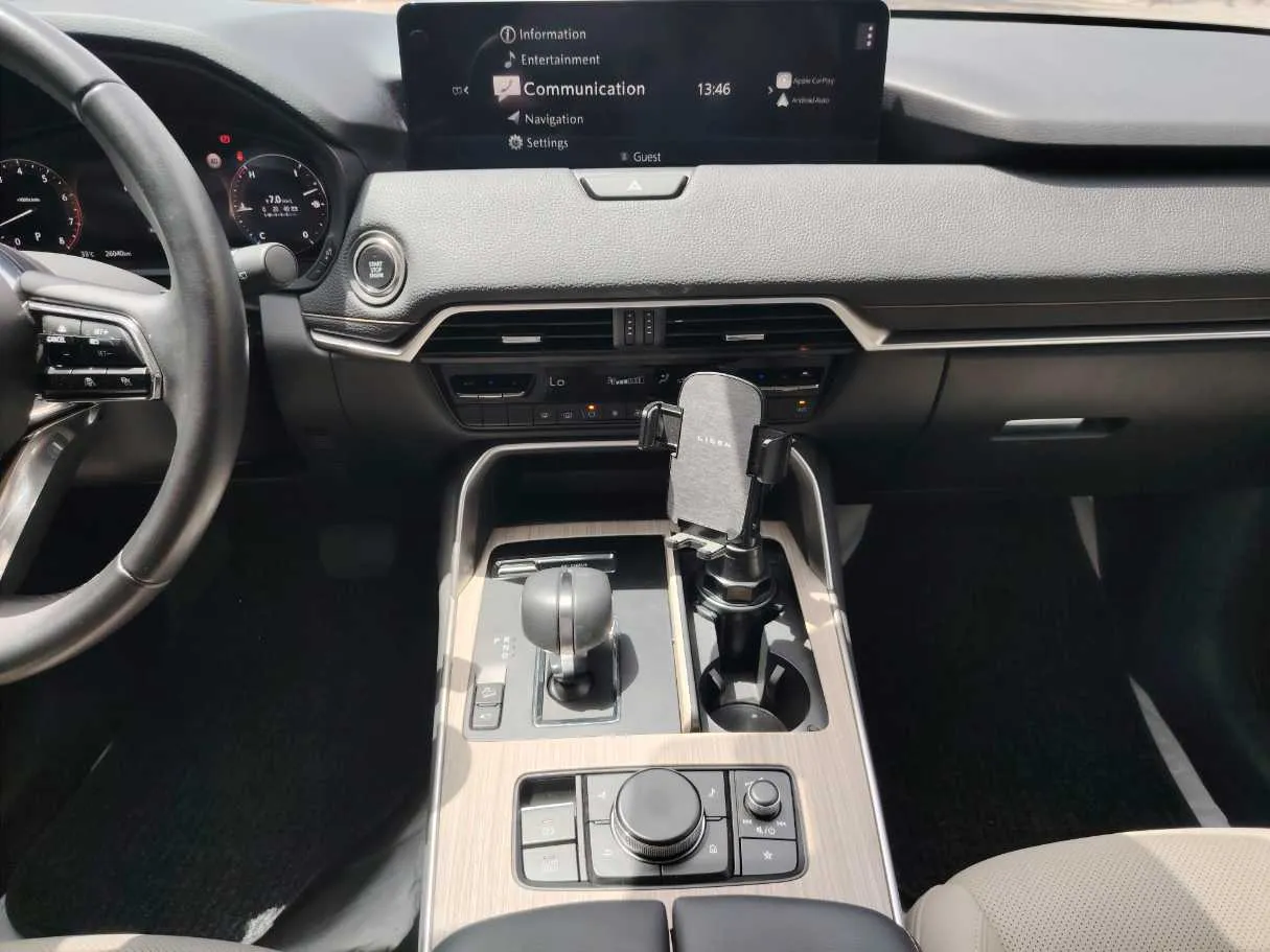 Car image 20