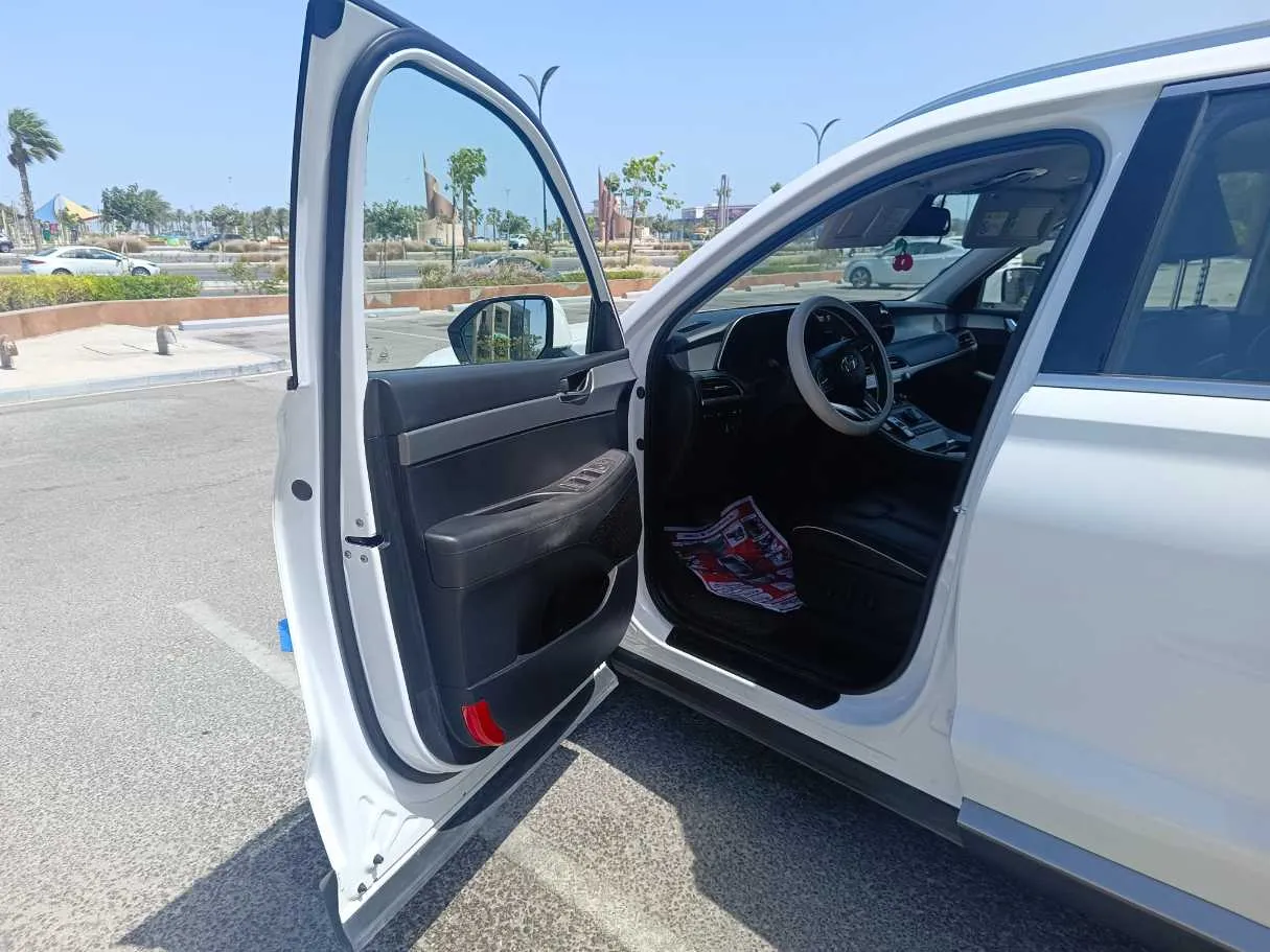 Car image 11