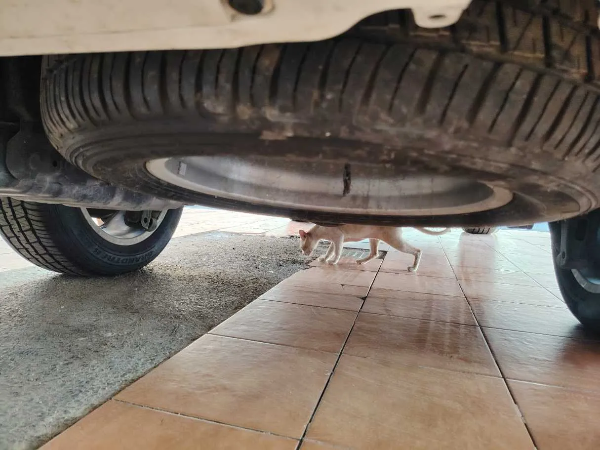Car image 46