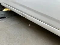 عتبة الجانب الأيمن