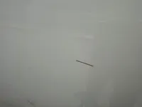 الباب الخلفى الأيمن