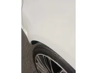 Rear left door