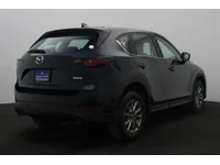 More images