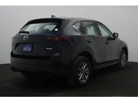 More images