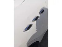 Rear left door
