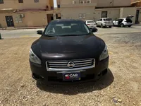 More images