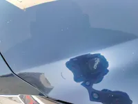 Bonnet