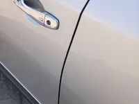 Rear left door