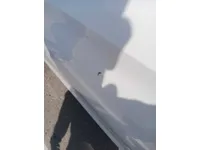 Rear left door