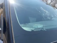 Windshield