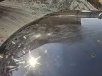 Bonnet