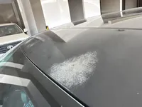 سقف السيارة