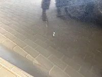 الباب الخلفى الأيسر