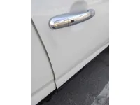 Front left door