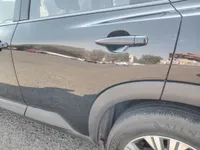 Rear left door