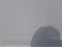 الباب الخلفى الأيمن