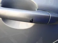 Rear left door