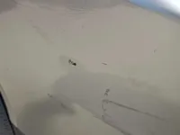 الصدام الأمامى