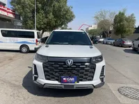 More images