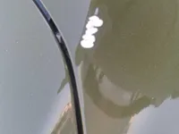 الرفرف الجانبي الأيسر