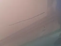 الباب الخلفى الأيمن