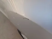 الباب الخلفى الأيسر