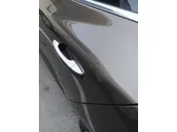 Rear left door
