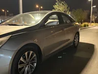 More images