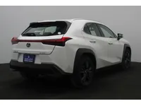 More images