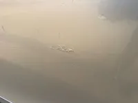 الباب الأمامى الأيسر