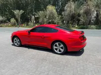 More images