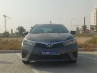 More images