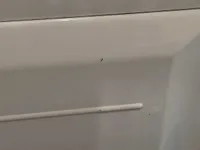 Rear right door