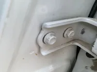 Rear left door