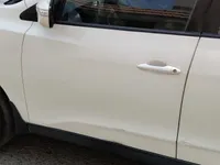 Front left door