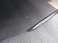 Rear left door