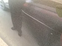 الباب الخلفى الأيسر