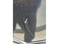 Right quarter panel