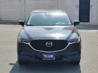 More images
