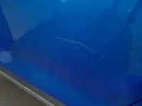 الباب الأمامى الأيسر