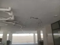الزجاج الأمامي