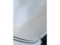 الباب الأمامى الأيسر